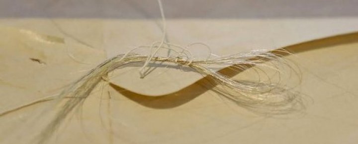 O suviţă din părul lui George Washington, descoperită într-o carte veche