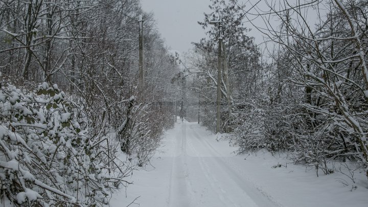 Avertizare de călătorie în Bulgaria. Sunt anunțate ninsori abundente