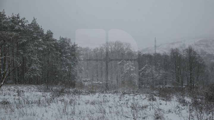 Ninsoarea a pus stăpânire pe întreaga ţară (GALERIE FOTO)