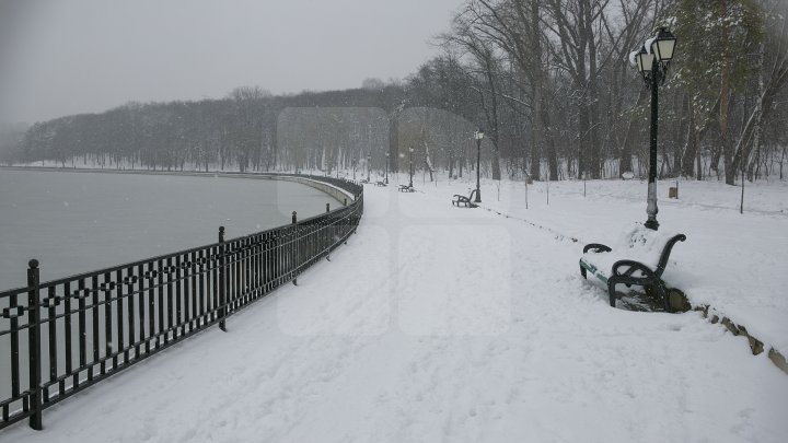 Ninsoarea a pus stăpânire pe întreaga ţară (GALERIE FOTO)