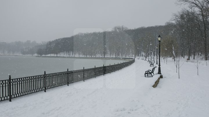 Ninsoarea a pus stăpânire pe întreaga ţară (GALERIE FOTO)