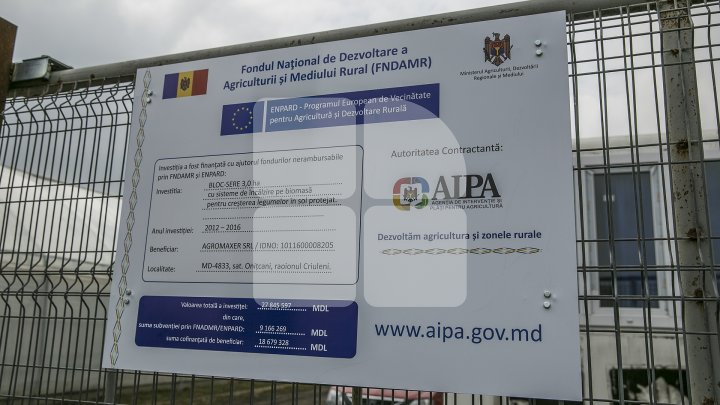 FORFOTĂ ÎN SERELE DIN ŢARĂ. Agricultorii au început deja plantarea legumelor