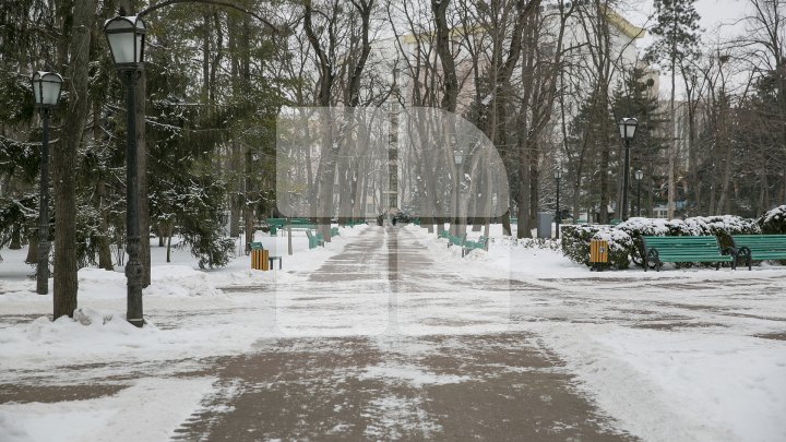 Cum a fost văzută ULTIMA ZI DE IARNĂ în Moldova! De mâine avem PRIMĂVARA în calendar (FOTOREPORT)