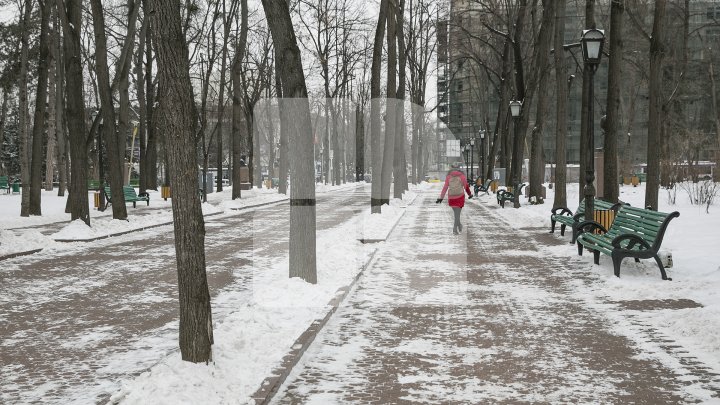 Cum a fost văzută ULTIMA ZI DE IARNĂ în Moldova! De mâine avem PRIMĂVARA în calendar (FOTOREPORT)