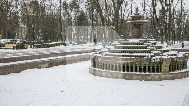 Cum a fost văzută ULTIMA ZI DE IARNĂ în Moldova! De mâine avem PRIMĂVARA în calendar (FOTOREPORT)