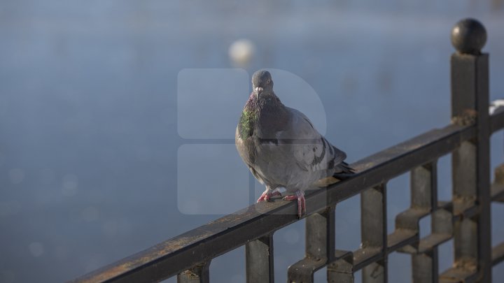 METEO 4 aprilie 2018: Vremea se mai încălzeşte puţin. Câte grade vom avea