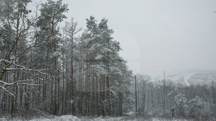 Va ninge în toată ţara. Câte grade vor indica termometrele în următoarele zile