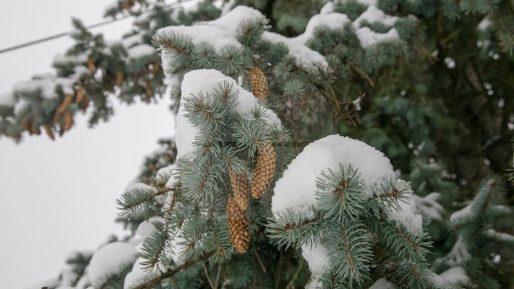 REVIN NINSORILE şi vremea se răceşte. Ce temperaturi ne aşteaptă în următoarele zile