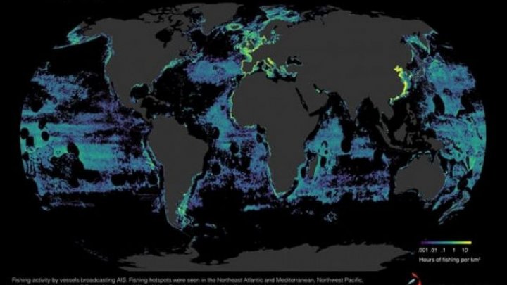 DATE ALARMANTE: Jumătate din suprafaţa oceanelor lumii a ajuns să fie pescuită industrial