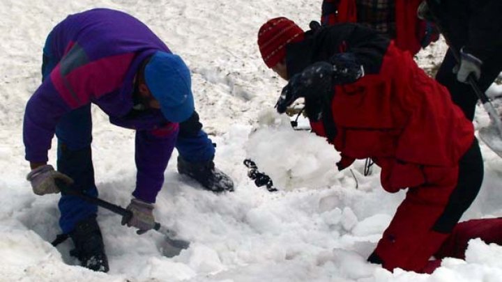 Fără cuvinte! Gestul emoționant făcut de o fetiţă de 8 ani pentru salvatorii montani din România