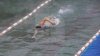CONCURS DE ÎNOT PE GER CUMPLIT la Sankt Petersburg. Sportivii au înotat la temperatura de -12 grade Celsius