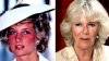 Cu ce apletaiv o jignea Camilla Parker Bowles pe Prinţesa Diana