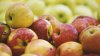 Cerinţe noi de etichetare a fructelor moldoveneşti. Firmele sunt obligate să indice datele producătorului
