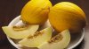 Cinci australieni au murit, după ce au mâncat pepene galben contaminat cu bacteria listeria