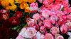 Ce sentinţă a primit administratorul unei firme de livrare de flori, acuzat de evaziune fiscală şi spălare de bani