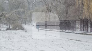 METEO 20 martie 2018: Va ninge în toată țara. Câte grade vor indica termometrele