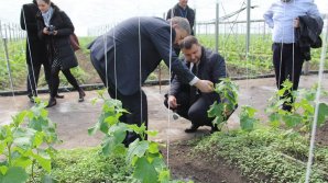 Tot MAI MULŢI agricultori primesc subvenţii de la stat. Numărul dosarelor depuse la AIPA de la începutul anului A CRESCUT cu 10% 