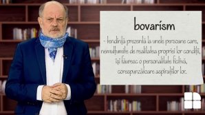 DE VORBĂ DESPRE VORBE cu Vsevolod Cernei. Cum este definit cuvântul BOVARISM