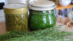 Bine să ştii! Planta care vine de hac tumorilor canceroase de orice fel