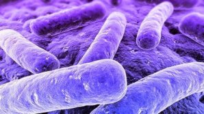 Boala cu transmitere sexuală care nu era cunoscută până acum! Face tot mai multe victime 