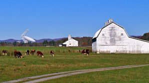 În ce oraș poţi face închisoare dacă foloseşti telefonul sau WiFi-ul
