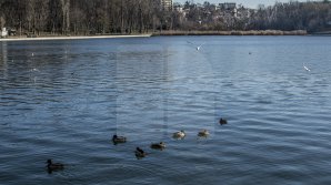 VEŞTI BUNE de la meteo, VREMEA SE ÎNCĂLZEŞTE. Câte grade vor indica termometrele
