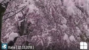 PUBLIKA WORLD: Iarnă grea în Italia: Ninsori abundente şi temperaturi extrem de scăzute (VIDEO)