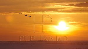 Vreţi să mergeţi într-o călătorie spre... Soare? NASA vă oferă această posibilitate. Condițiile pe care trebuie să le îndeplinești