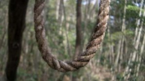 Înfiorător! Un pictor român a fost găsit spânzurat într-o pădure