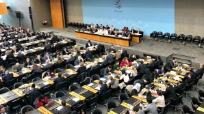 OMC permite Chinei să impună sancţiuni împotriva unor produse americane