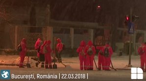 PUBLIKA WORLD: Vremea rea face ravagii în România, Bucureşti. Capitala este sub avertizare de cod portocaliu de ninsori (VIDEO)