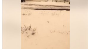 Fenomen neaşteptat în Taraclia. NINGE cu ZĂPADĂ PORTOCALIE (VIDEO)