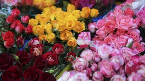 Serviciul Fiscal de Stat, cu ochii pe florari. Vânzătorii au plătit AMENZI DE CIRCA 1 MILION DE LEI