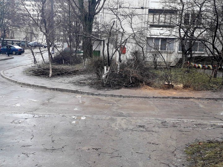 În Capitală a început MAREA CURĂŢENIE. Crengile copacilor uscaţi au fost tăiate (FOTO)