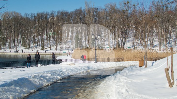 Primăvara şi-a intrat în drepturi. Vremea frumoasă i-a scos pe oameni în parcuri (FOTOREPORT)