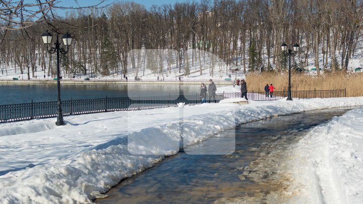 Primăvara şi-a intrat în drepturi. Vremea frumoasă i-a scos pe oameni în parcuri (FOTOREPORT)