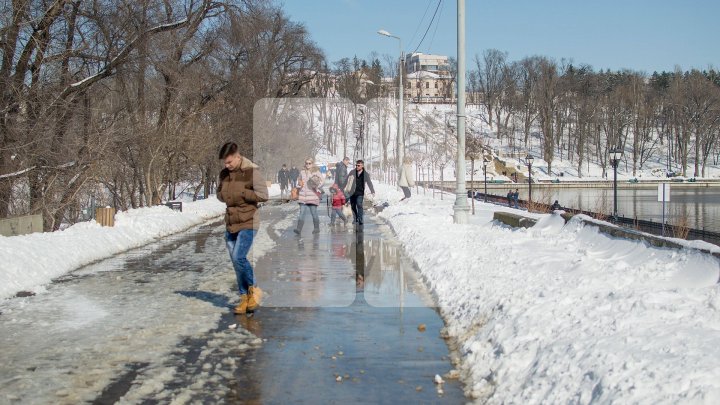 Primăvara şi-a intrat în drepturi. Vremea frumoasă i-a scos pe oameni în parcuri (FOTOREPORT)