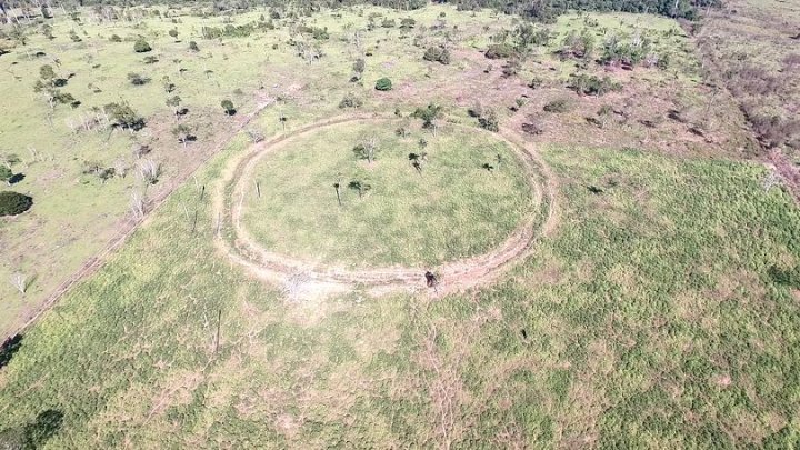 Civilizație dispărută, descoperită în Amazon cu ajutorul imaginilor din satelit (FOTO)