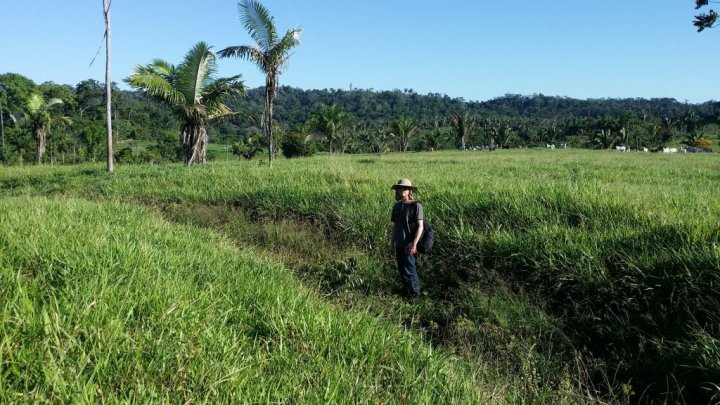 Civilizație dispărută, descoperită în Amazon cu ajutorul imaginilor din satelit (FOTO)