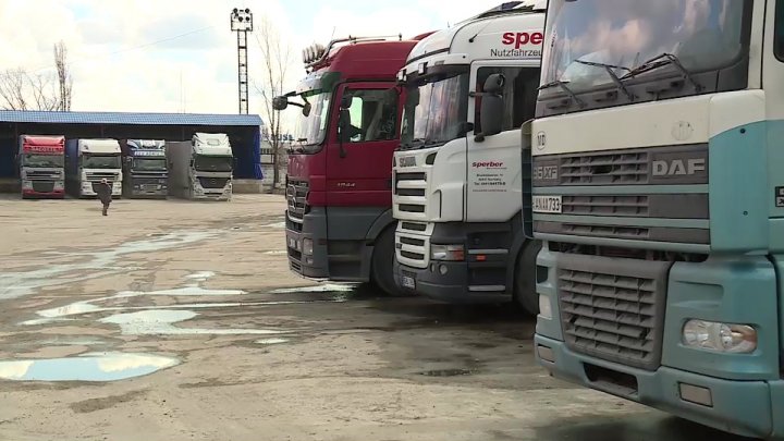 Brokerii vamali nemulţumiţi de amenzile pe care le primesc deşi completează GREŞIT declaraţiile vamale