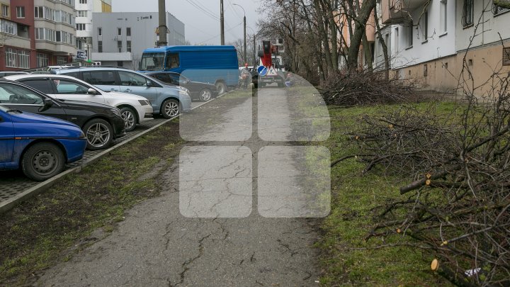 Lucrările de salubrizare în Capitală sunt în toi. Curăţenia generală a început din sectorul Ciocana (FOTOREPORT)