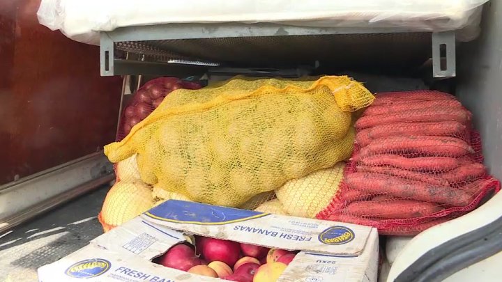 Daruri în ajun de săbătorile pascale pentru familia Cezarei, tânăra care a avut de suferit în accidentul de la Todireşti