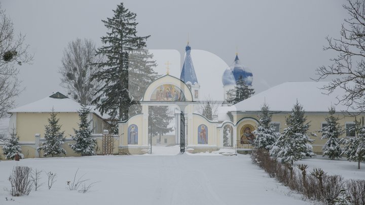 "O experiență unică!" Trei bucătari francezi au pregătit plăcinte la Mănăstirea Frumoasa din Călărași, fiind ajutaţi de măicuțe (FOTO)