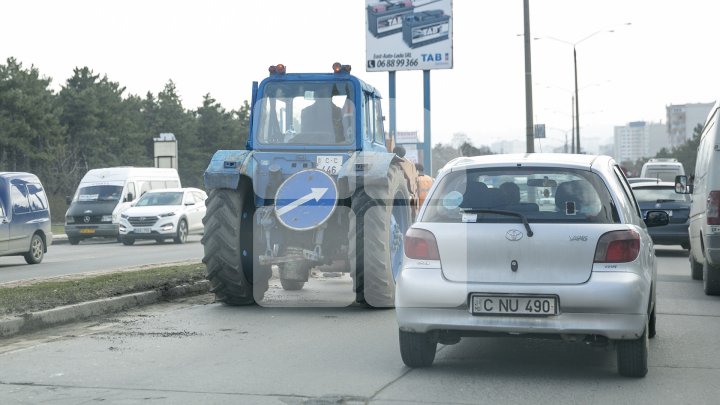 Marea Curățenie de primăvară din Capitală. Angajații Spații Verzi și locuitorii fac curat în toate parcurile și străzile