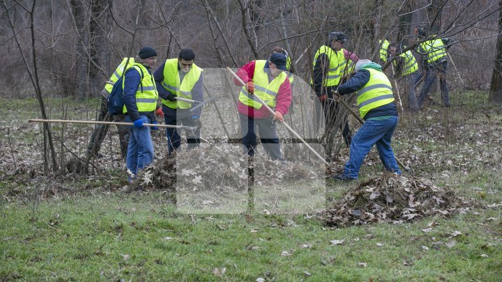 CURĂŢENIE LUNĂ ÎN CAPITALĂ! Zeci de mii de oameni s-au mobilizat şi au participat la acţiunile de salubrizare din oraş (FOTOREPORT)