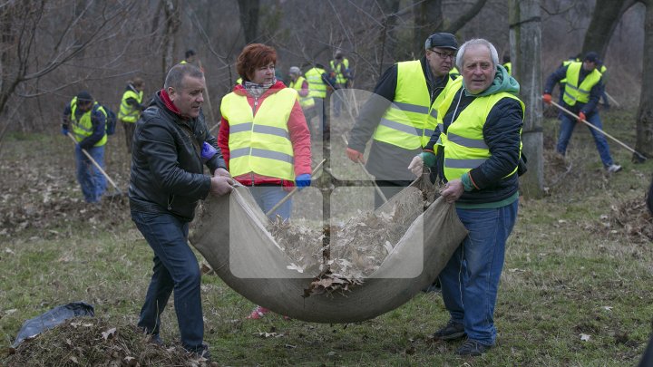 CURĂŢENIE LUNĂ ÎN CAPITALĂ! Zeci de mii de oameni s-au mobilizat şi au participat la acţiunile de salubrizare din oraş (FOTOREPORT)