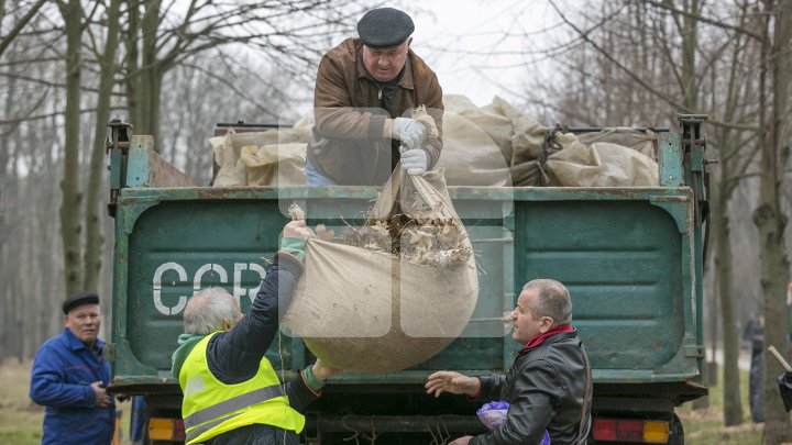 CURĂŢENIE LUNĂ ÎN CAPITALĂ! Zeci de mii de oameni s-au mobilizat şi au participat la acţiunile de salubrizare din oraş (FOTOREPORT)