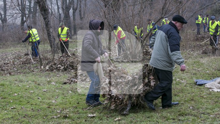 CURĂŢENIE LUNĂ ÎN CAPITALĂ! Zeci de mii de oameni s-au mobilizat şi au participat la acţiunile de salubrizare din oraş (FOTOREPORT)