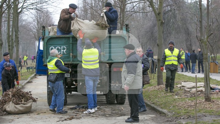 CURĂŢENIE LUNĂ ÎN CAPITALĂ! Zeci de mii de oameni s-au mobilizat şi au participat la acţiunile de salubrizare din oraş (FOTOREPORT)