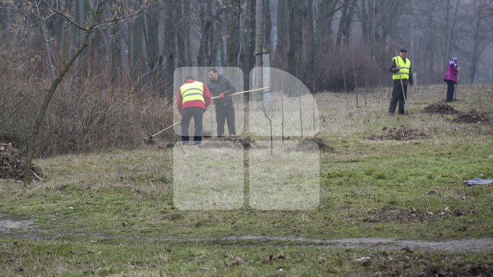 Silvia Radu, despre MAREA CURĂŢENIE: Oamenii au demonstrat că le pasă de oraşul lor